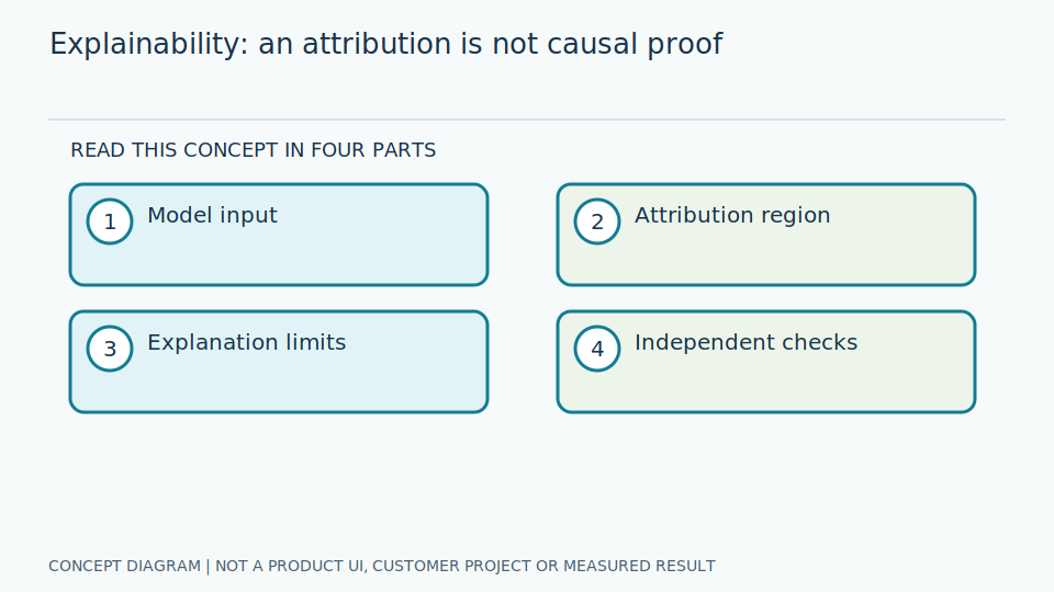 Explainable AI (XAI)