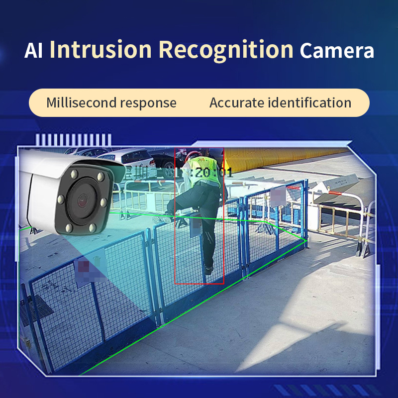 Animal & Intrusion Detection System
